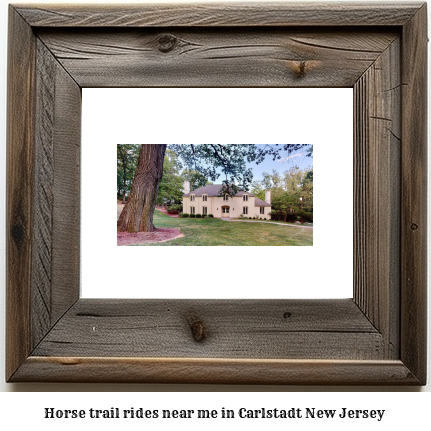 horse trail rides near me in Carlstadt, New Jersey